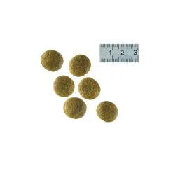 Adult Large Dog - Royal Canin Veterinary Care Nutrition -Nourriture pour chien Soldes adult large dog royal canin veterinary care nutrition 3