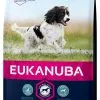 Adult Moyenne Race - Eukanuba -Nourriture pour chien Soldes adult moyenne race eukanuba