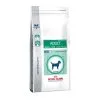 Adult Small Dog (Dental & Digest 25) - Royal Canin Veterinary Care Nutrition -Nourriture pour chien Soldes adult small dog dental digest 25 royal canin veterinary care nutrition