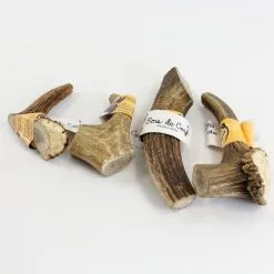 Bois De Cerf XL - Parole De Truffes -Nourriture pour chien Soldes bois de cerf xl parole de truffes 2