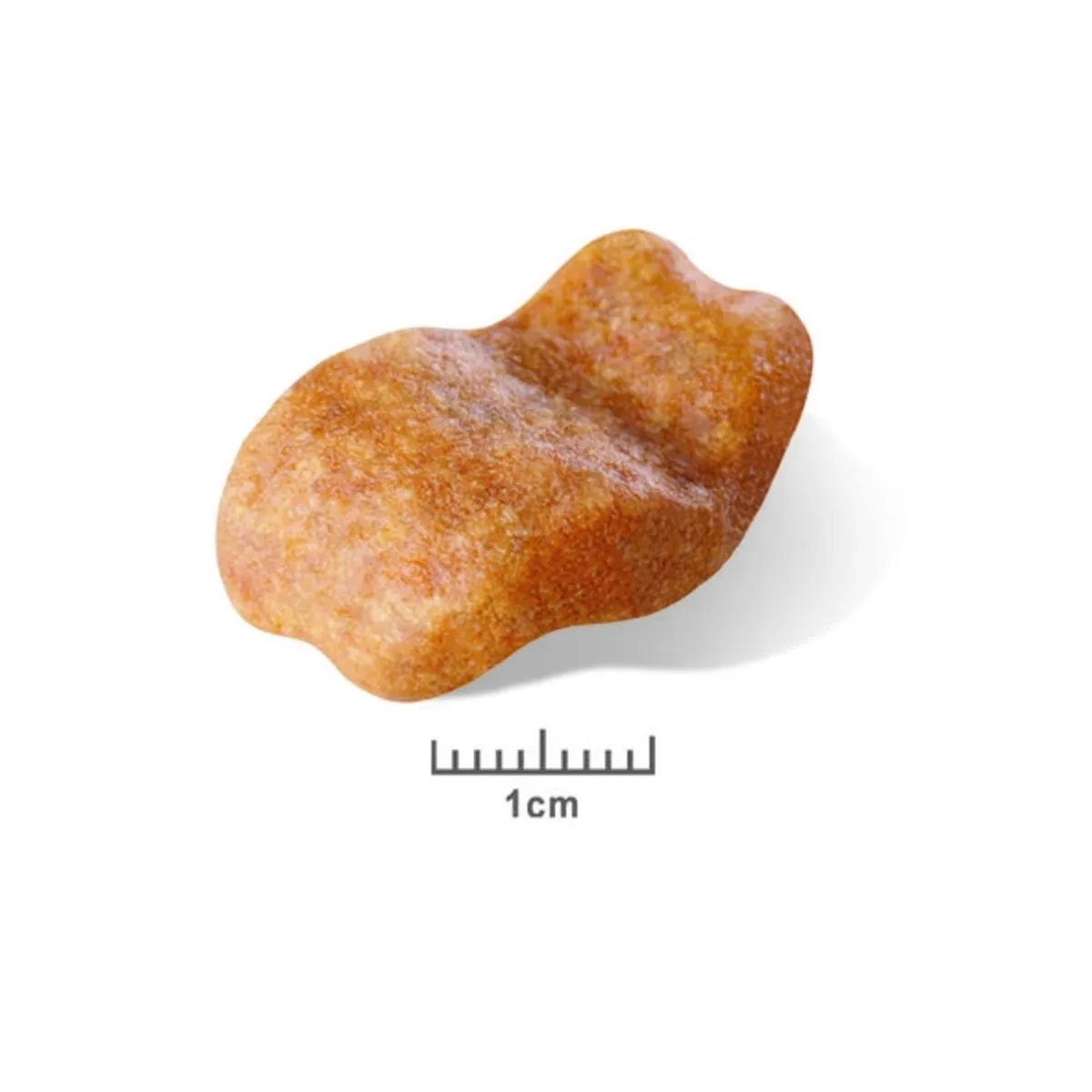 Bulldog - Royal Canin 4 Bulldog - Royal Canin – Image 2