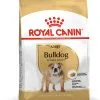 Bulldog - Royal Canin -Nourriture pour chien Soldes bulldog royal canin