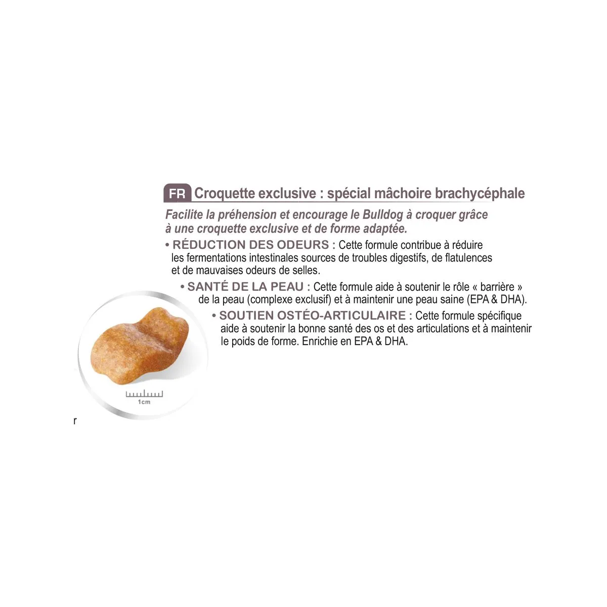 Bulldog - Royal Canin 6 Bulldog - Royal Canin – Image 4