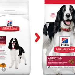 Canine Adult Medium Poulet - Hill's Science Plan