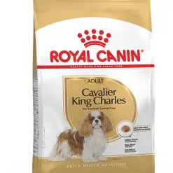 Cavalier King Charles - Royal Canin