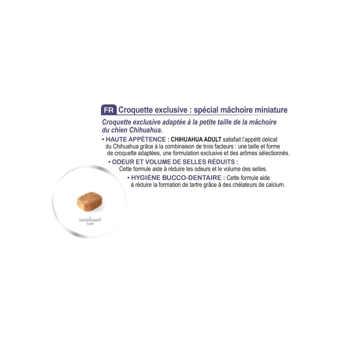 Chihuahua - Royal Canin 8 Chihuahua - Royal Canin – Image 6