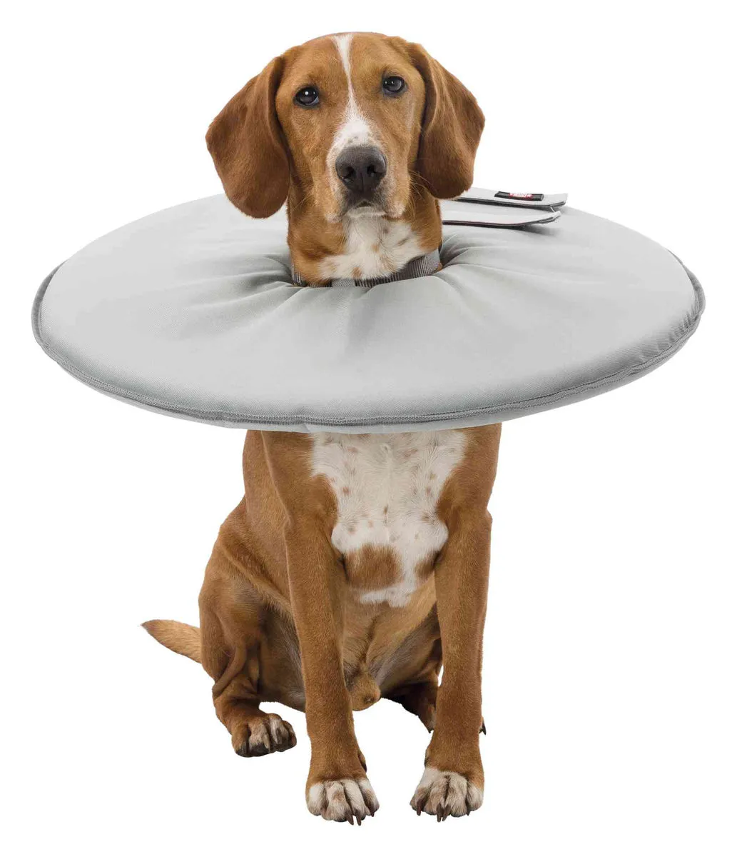 Collerette De Protection - Trixie 2 Collerette De Protection - Trixie