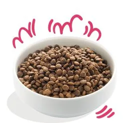 Croquettes Bio "Merveilleux Bœuf & Poulet" - Edgard & Cooper -Nourriture pour chien Soldes croquettes bio merveilleux boeuf poulet edgard cooper 1