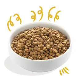 Croquettes Bio "Savoureux Dinde & Poulet" - Edgard & Cooper -Nourriture pour chien Soldes croquettes bio savoureux dinde poulet edgard cooper 1