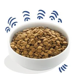 Croquettes Pour Chien Adulte "Alléchant Saumon" Sans Céréales - Edgard & Cooper -Nourriture pour chien Soldes croquettes pour chien adulte allechant saumon sans cereales edgard cooper 1