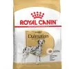 Dalmatian "Dalmatien" - Royal Canin -Nourriture pour chien Soldes dalmatian dalmatien royal canin