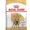 French Bulldog Adult - Royal Canin -Nourriture pour chien Soldes french bulldog adult royal canin