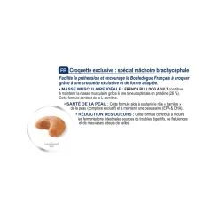 French Bulldog Adult - Royal Canin -Nourriture pour chien Soldes french bulldog adult royal canin 3