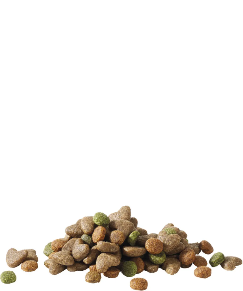 VERSELE-LAGA Happy Life "Junior" Poulet - Versele Laga 5 VERSELE-LAGA Happy Life "Junior" Poulet - Versele Laga – Image 3