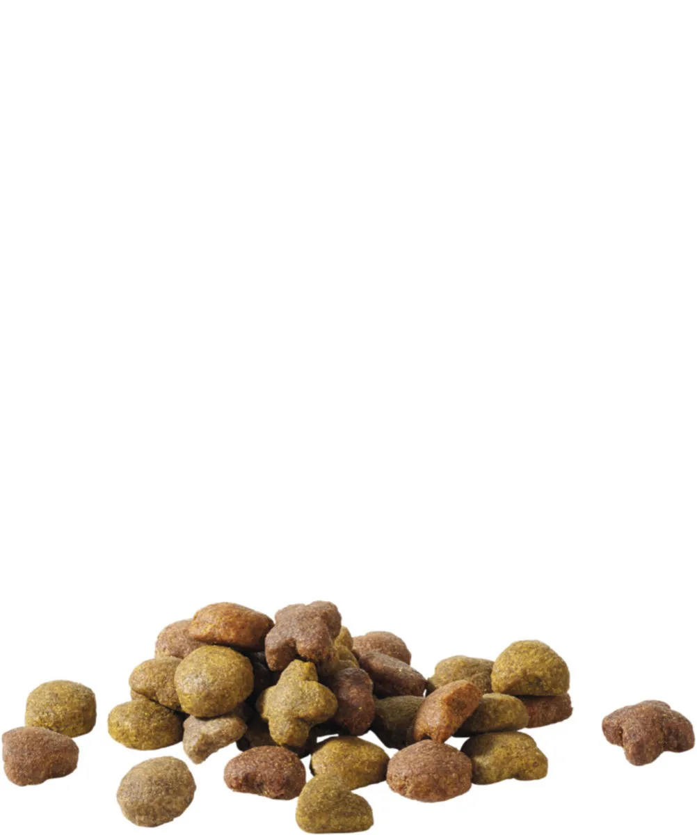 VERSELE-LAGA Happy Life "Senior Light" Poulet - Versele Laga 5 VERSELE-LAGA Happy Life "Senior Light" Poulet - Versele Laga – Image 3