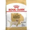 Labrador Retriever Adult - Royal Canin 1 Labrador Retriever Adult - Royal Canin -Nourriture pour chien Soldes labrador retriever adult royal canin