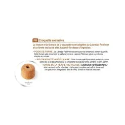 Labrador Retriever Adult - Royal Canin -Nourriture pour chien Soldes labrador retriever adult royal canin 4