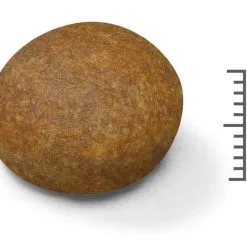 Maxi Adult 5 + - Royal Canin -Nourriture pour chien Soldes maxi adult 5 royal canin 1