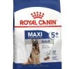 Maxi Adult 5 + - Royal Canin