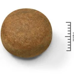 Maxi Adult - Royal Canin 8 Maxi Adult - Royal Canin -Nourriture pour chien Soldes maxi adult royal canin 1