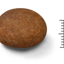 Medium Adult 7+ - Royal Canin -Nourriture pour chien Soldes medium adult 7 royal canin 1