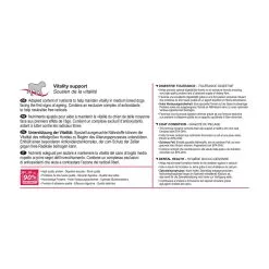 Medium Adult 7+ - Royal Canin -Nourriture pour chien Soldes medium adult 7 royal canin 4