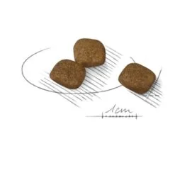 Mini Coat Care - Royal Canin -Nourriture pour chien Soldes mini coat care royal canin 1