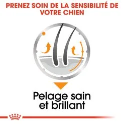 Mini Coat Care - Royal Canin -Nourriture pour chien Soldes mini coat care royal canin 2