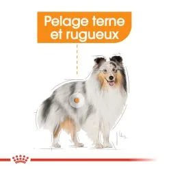 Mini Coat Care - Royal Canin -Nourriture pour chien Soldes mini coat care royal canin 3