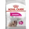 Mini Exigent - Royal Canin -Nourriture pour chien Soldes mini exigent royal canin