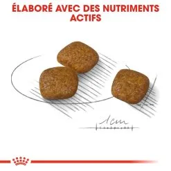 Mini Urinary Care - Royal Canin -Nourriture pour chien Soldes mini urinary care royal canin 2