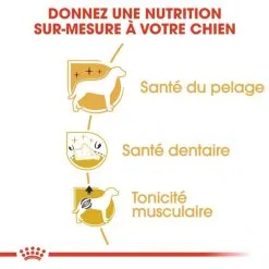 Poodle "Caniche" - Royal Canin -Nourriture pour chien Soldes poodle caniche royal canin 1