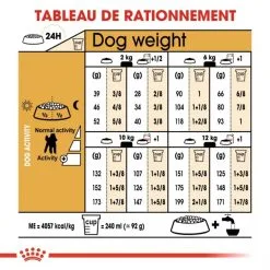 Poodle "Caniche" - Royal Canin -Nourriture pour chien Soldes poodle caniche royal canin 4