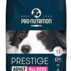 Prestige Chien Exigent - Flatazor