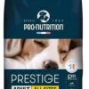 Prestige Chien Healthy Skin - Flatazor -Nourriture pour chien Soldes prestige chien healthy skin flatazor