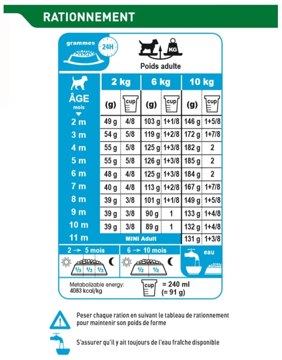 Puppy Mini - Royal Canin 9 Puppy Mini - Royal Canin – Image 7