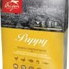 Puppy - Orijen 1 Puppy - Orijen -Nourriture pour chien Soldes puppy orijen