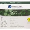 PYO Spot-On 10 - 20 Kg - Dermoscent -Nourriture pour chien Soldes pyo spot on 10 20 kg dermoscent