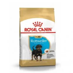 Rottweiler Junior - Royal Canin