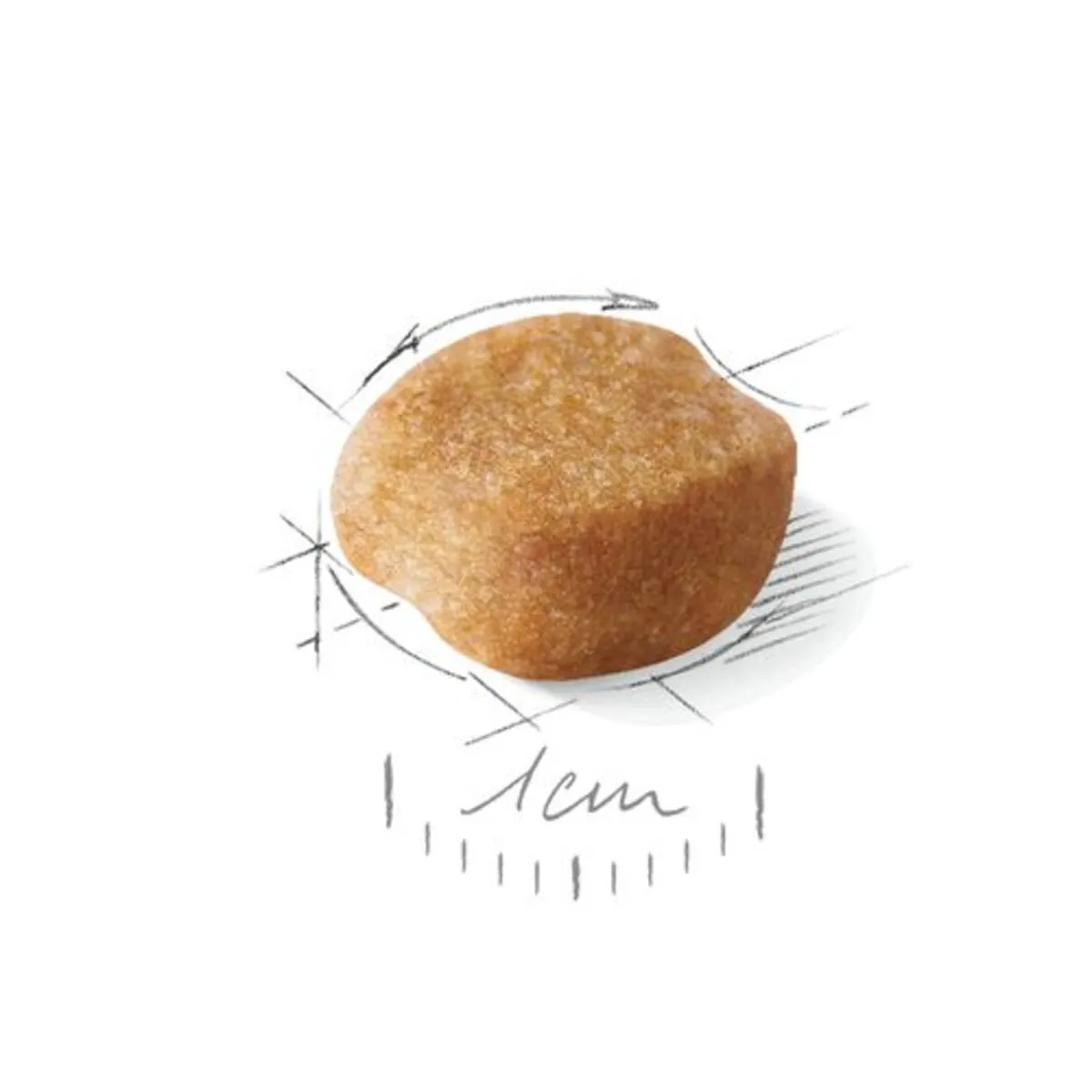 Yorkshire Terrier 8 + - Royal Canin 4 Yorkshire Terrier 8 + - Royal Canin – Image 2